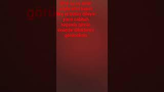 sadece üç dilek tut