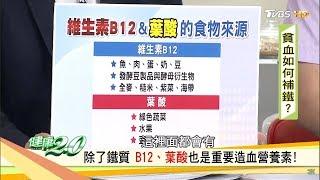 除了鐵質 B12、葉酸也是重要造血營養素！ 健康2.0