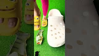 #crocs #giant #slippers #shoes #funny #sandals #love #trending #footwear #amazingfacts