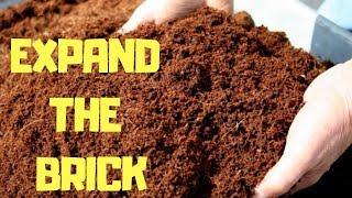 HOW TO EXPAND A COCO FIBRE BRICK | COCO COIR 2019