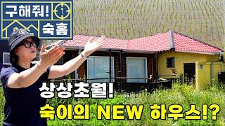 [구해줘 숙홈] 덕팀장 김숙의 NEW! 보금자리 찾기 프로젝트