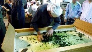 Green Tea Newbies (11) Temomi: manual tea rolling 手揉み茶の製造