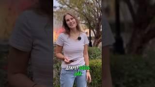 Полное видео о минусах в США уже на моём канале! #декретвсша #сша #декрет #иммиграция #америка