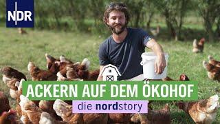 Saustall statt Sonnenliege - Urlaub mal anders | die nordstory | NDR