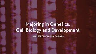 Genetics, Cell Biology and Development major