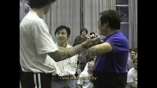 Wong Shun Leung Seminar in (AWCKF) Holland 1994 - Part 3 #wingchun