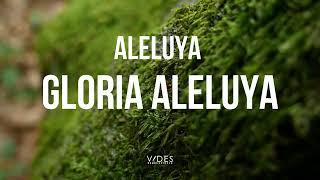 Aleluya Gloria Aleluya / Música Instrumental Cristiana / Atardecer Con Dios