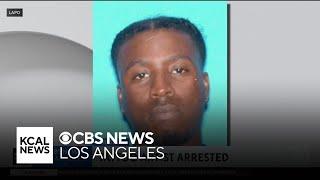 Additional victims sought of popular LA tattoo artist arrested for sexual assault