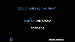 ZALIA, MEEK, OH WHY? - ZARAZ WRACAM (TEKST)(REMIX)(arranged by Christopher Bird)