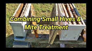 Combining Small Hives & Mite Treatment