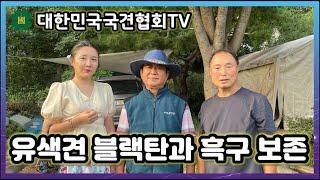 유색견 블랙탄과 흑구 보존 | 대한민국국견협회TV