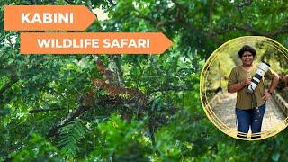 Kabini Wildlife Safari | Nagarhole National Park | Tiger Leopard sighting Kabini