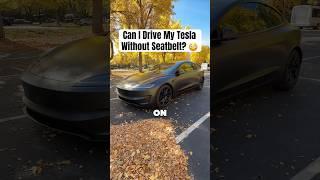 Can I Drive My Tesla Without My Seatbelt On?