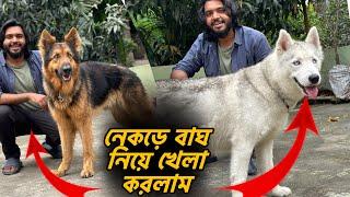 বাংলাদেশে পোষা প্রাণীর খামার পরিদর্শন । Visiting pet farms in Bangladesh @petmanbd