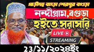 মাওলানা রুহুল আমিন যুক্তিবাদী ||বাংড়া গাড়ীদহ শেরপুর বগুড়া ||live 23/11/2024