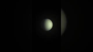 Venus through an 11” telescope #telescope #venus #shorts