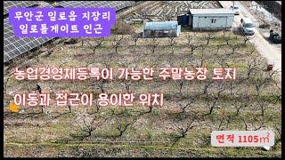 [토지 매매] 일로읍, 주말농장, 경영체등록 가능 토지