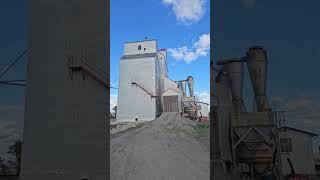 Sintaluta, Saskatchewan Grain Elevator
