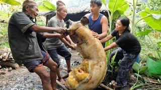 The method of cutting pig in rural lifestyle || Eastern Rural Nepal || typical organic food