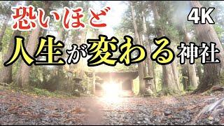 人生超開運 強力な運気をいただける！ パワースポットひとり旅#33 戸隠神社奥社 九頭龍社 中社  4K