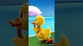 Sad story duck #ai #funny #duck #cute #pets #kitten #kids #shorts #beautiful #sad