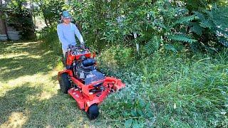 She was FINED for not mowing, but the CITY owns it now and STILL won’t mow