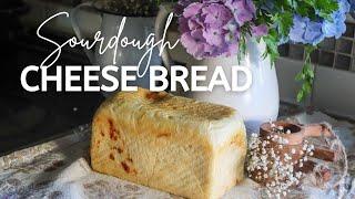 COZY SOURDOUGH CHEESE BREAD