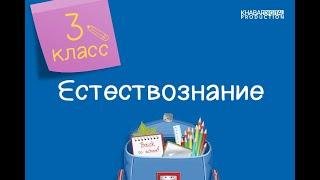 Естествознание. 3 класс. Какая связь существует между растениями и животными /19.10.2020/