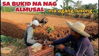 ALMUSAL sa bukid pag papa araro