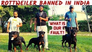 PITBULL & ROTTWEILER BAN IN INDIA | वीडियो में है सारी सचाई |  ROTT लेने से पहले ये वीडियो जरूर देखे