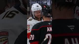 Cats Win the Series, Time to Shake It Out 