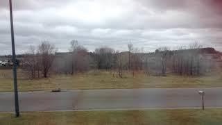 Time-Lapse of People Taking Down Trees