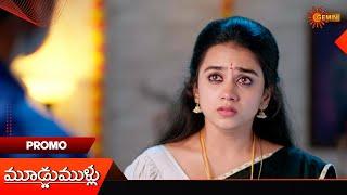 Moodu Mullu- Promo |27 Nov 2024  | Telugu Serial | Gemini TV