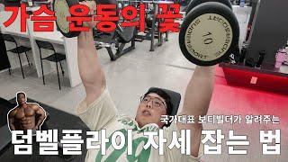 가슴 찢어지는 자극? 덤벨플라이 이렇게 해야 옵니다
