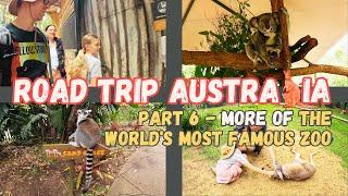 More of The World's Most Famous Zoo - Road Trip Australia Part 6