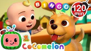 Bingo Is His Name-O!  | 2 HOURS OF COCOMELON | Animals for Kids | Sing Along Songs for Kids