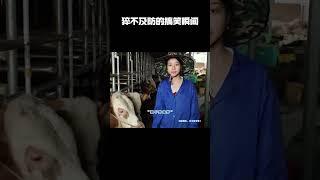 猝不及防的搞笑瞬间