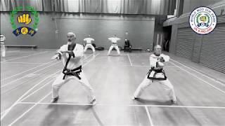 World Moo Duk Kwan UK Wang shu Hyung