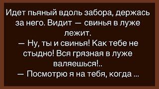 Как У Мужа С Женой Вышел Конфуз!Сборник Смешных Анекдотов!Юмор!Настроение!