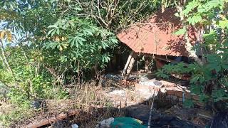 Poor Bedridden old woman cries after receiving help cleaning up her ruined house