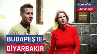 Budapeşte ve Kapoşvar Kentindeki Erasmuslu Öğrenciler - Avrupa'dan Anadolu'ya | NTV Belgesel