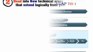 Avoiding SAP Skills Commoditization - The JonERP Perspective