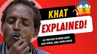 All you need to know about #khat #miraa #jaba