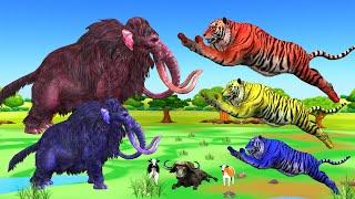 3 tigers attack on cows rescued from giant mammoth buffalo animal fighting funny revolt battle