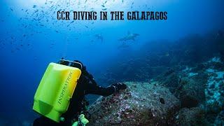 CCR Diving in the Galapagos - Technical Diving Presentation [DEMA 2022]