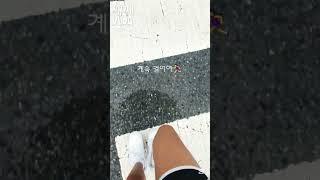 째째#브이로그#학교