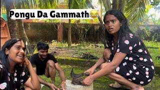 Pongu Tinpina GammathRakshita Tulu Talks #rakshita #tuluvlog #tulu #udupi #iceapple #mangalore