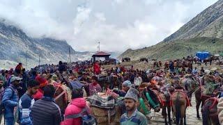 गौरीकुंड से केदारनाथ मंदिर तक पैदल यात्रा |  Kedarnath Yatra | नया पैदल मार्ग