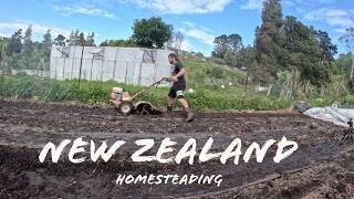 Uncovering new ground on our New Zealand Homestead (vlog)