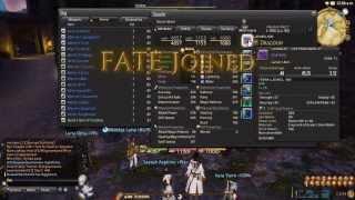Final Fantasy XIV: ARR - Stat Weights & Min/Maxing